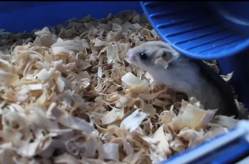 April Fool’s Pranks: 10 Greatest of All Time (Video)
