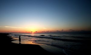 Ecological Insults and Injuries Revealed Four Years After Deepwater Horizon 