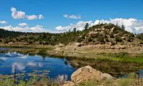 Alien-Human Battle of 1979 in New Mexico: Alleged Eye-Witness Report