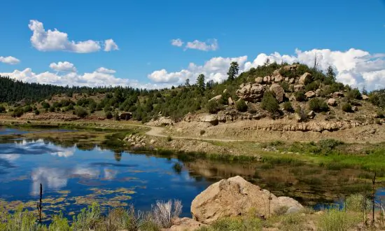 Alien-Human Battle of 1979 in New Mexico: Alleged Eye-Witness Report