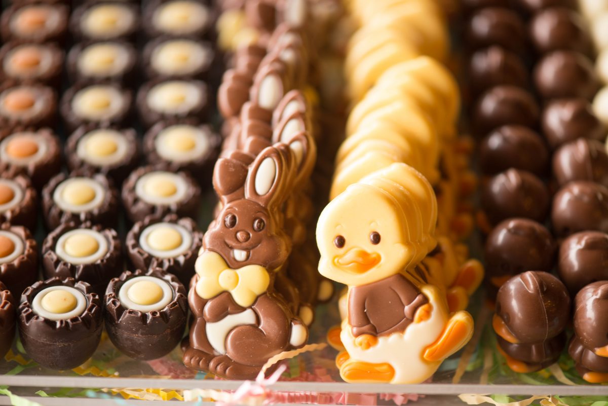 NextImg:Furry Friends Warned to Stay Away From Easter Treats
