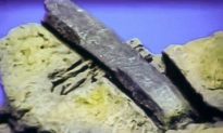 Out of Place in Time: Was This Hammer Made 100 Million Years Ago?
