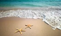 Add some nature sounds to enhance your meditation at home