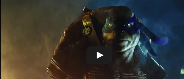 Teenage Mutant Ninja Turtles Star Megan Fox ‘In Love’ With the Cartoon But Fans Will Decide Fate of Film