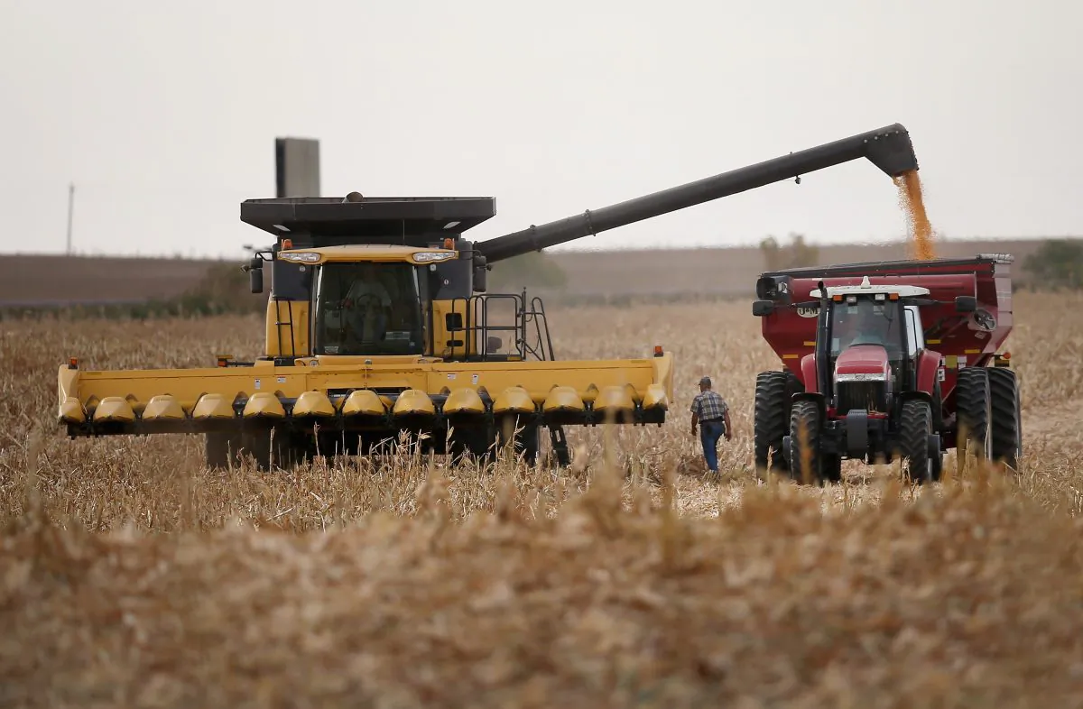 Dave Fendrich (walking) helps Bryant Hofer (in combine) harvest a field of corn on Oct. 2, 2013, near Salem, S.D. (Scott Olson/Getty Images)