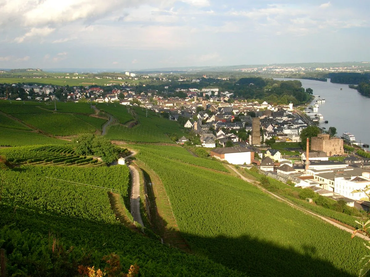 The Wehlener Sonnenuhr Vineyards. (Bo Zaunders)