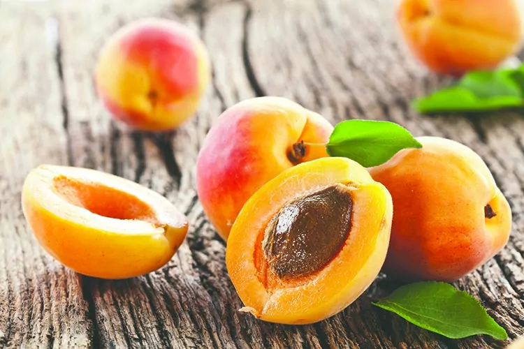 Apricot seeds contain the highest concentration of B-17 (amagdylin) of any food on the planet! (Valentyn Volkov/photos.com)