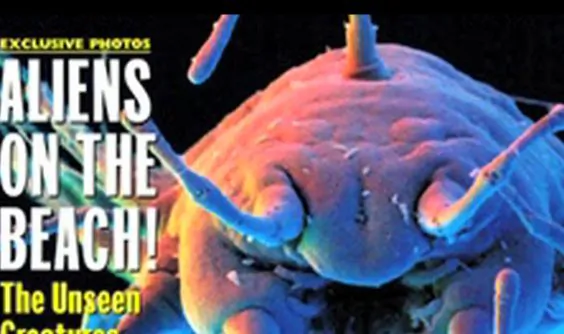 10 Most Bizarre April Fool’s Pranks