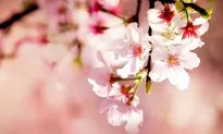 7 Headlines You Won’t Read Anywhere Else Today: April 6