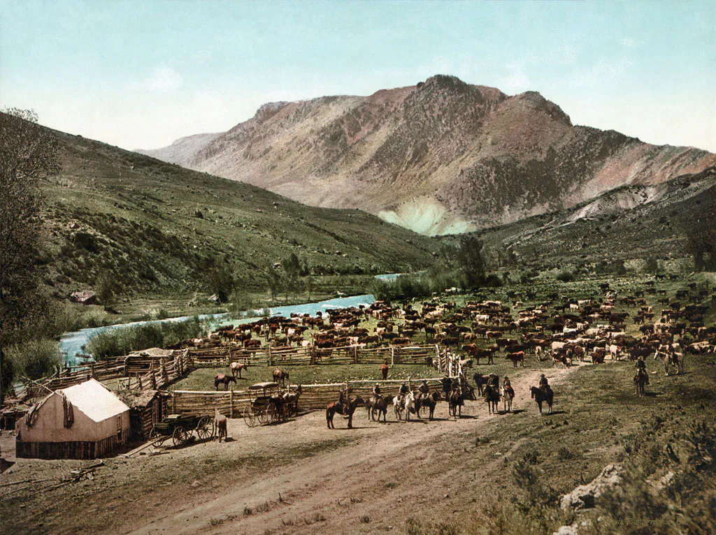 Colorado. "Round up" on the Cimarron, a photochrom print from c. 1898, showing one of the large musters of cattle done in the days before barbed wire, fences, and easy access to transport ended the necessity for the practice. (Wikimedia Commons)