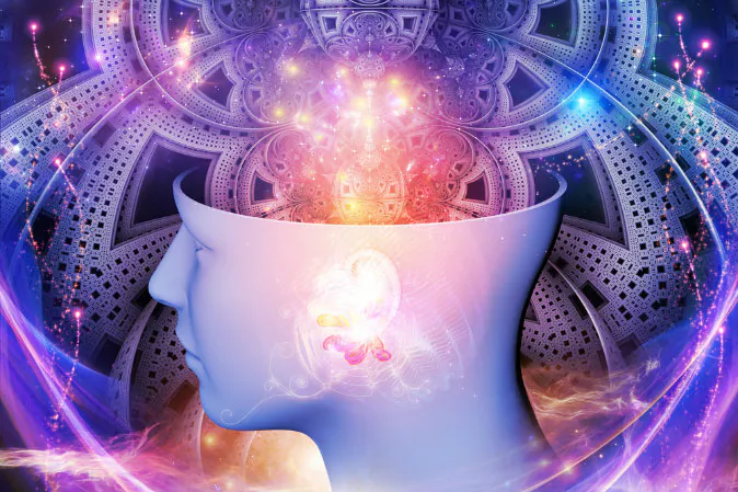 (Shutterstock*)