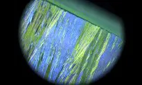‘Squeegee’ Method Lets Team See Tiny Crystals Form