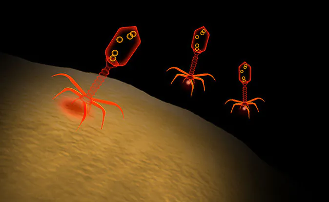 Scientists Pinpoint When Harmless Bacteria Became Flesh-Eating Monsters
