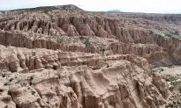 Growth Spurts Over Millions of Years Formed Andes