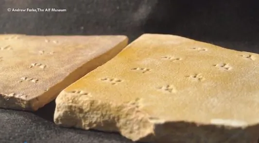 Experts Solve Mystery Behind These Footprints