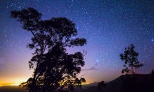 Darwin Meets Newton: Evolution and the Mass of the Galaxy