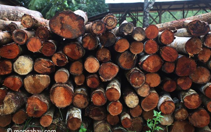 Pile of logs in Java. (Rhett A. Butler/Mongabay.com)