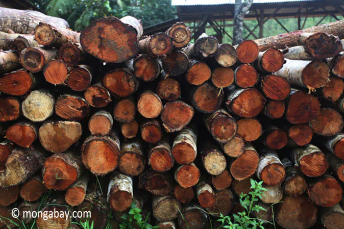 Pile of logs in Java. (Rhett A. Butler/Mongabay.com)