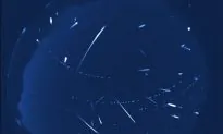 Stargazers Disappointed With ‘Invisible’ Historic Meteor Shower; Astronomer Explains (Video)