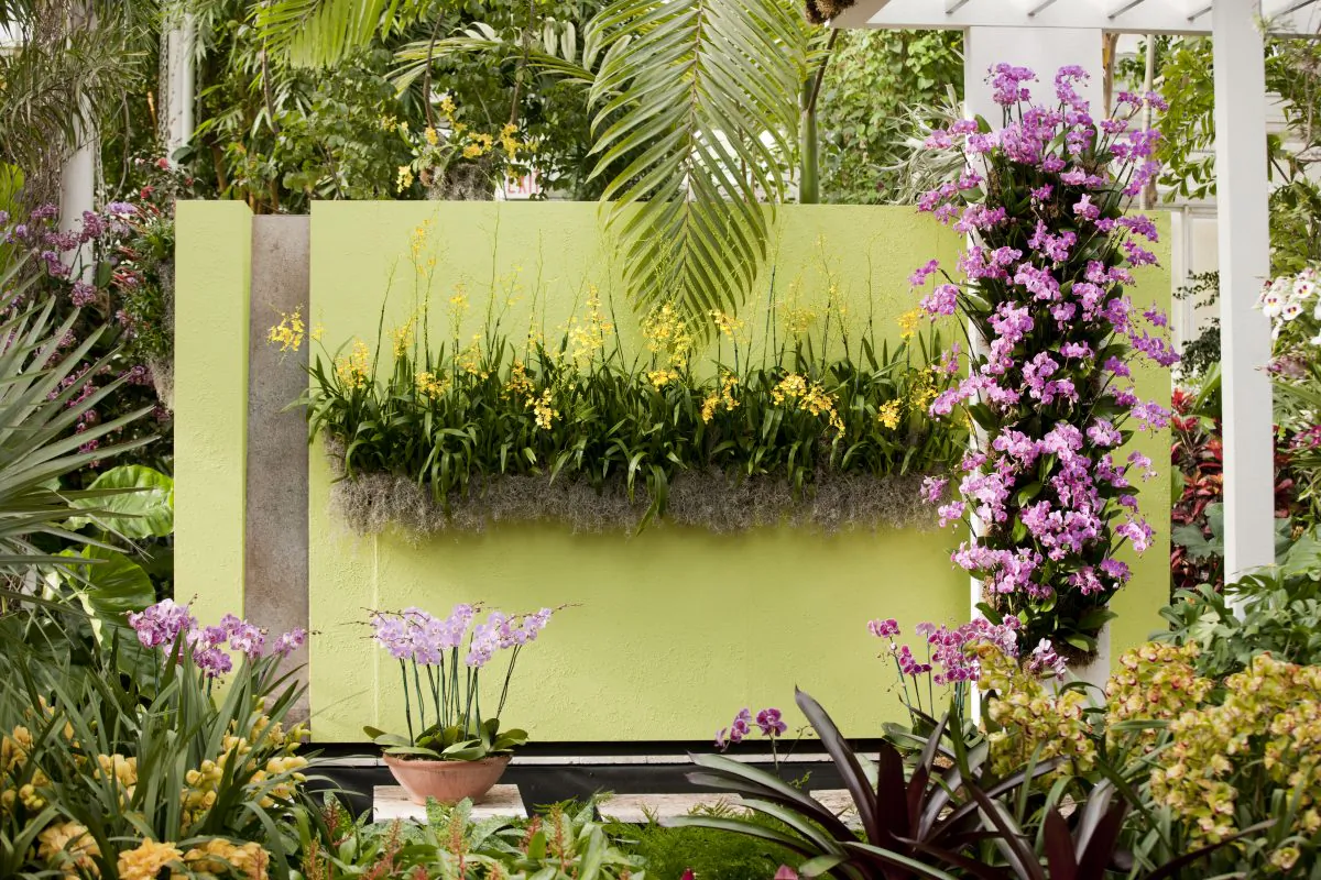 The Orchid Show at the Bronx Botanical Garden (Ivo M. Vermeulen)