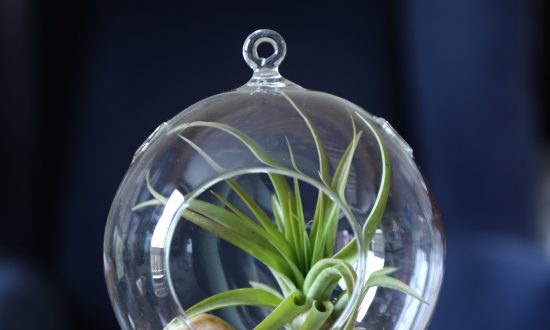 Bel Fiore Is Keeping It Small