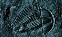 The Greatest Mass Extinction Ever May Have Been Kicked Off by Microbes