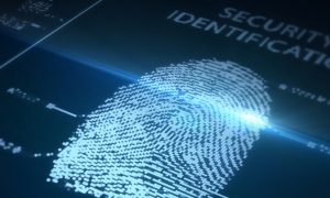Law Enforcement Myth Exposed: Fingerprints Are Not Unique