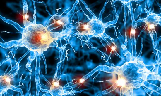 Study Identifies a New Potential Therapeutic Target for Parkinson’s Disease