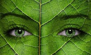 The Pure Cure: How to Free Your Life From Dangerous Toxins