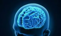 In Old Age, Lack of Emotion and Interest May Signal Your Brain Is Shrinking