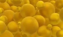 Lasers Pop Tiny ‘Chemo’ Balloons to Kill Cancer
