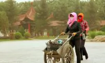 Pollutants From Coal-Burning Stoves Strongly Associated With Miscarriages in Mongolia
