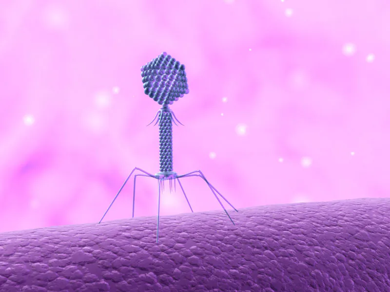"Phages are the most abundant life forms on the planet—if you consider viruses to be alive," Paul Ebner says. "You can eat thousands of phages just by licking your lips." (Shutterstock*)