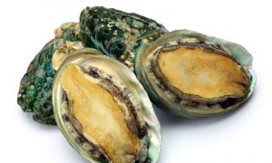 'Forensic Genomics' Solves Dead Abalone Mystery