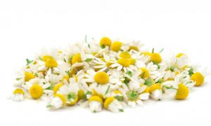 15 Natural Remedies for the Treatment of Acid Reflux and Ulcers 