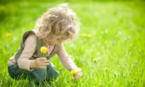 Feeding the Field on Earth Day