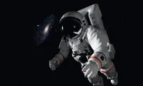 Rat Study Shows Deep-Space Travel Could Damage the Brain