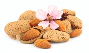  New Studies Show Health Benefits of Almonds (Video)