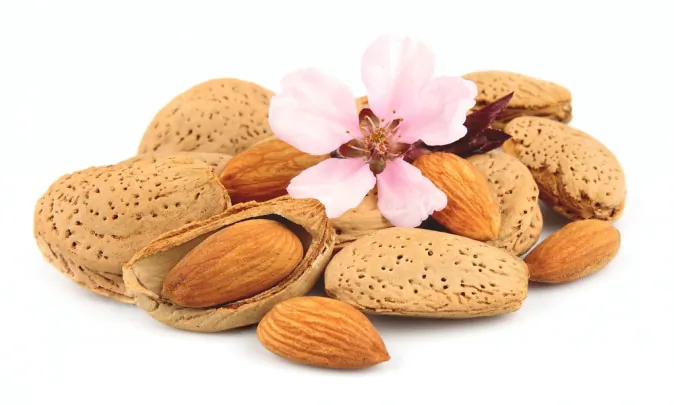 New Studies Show Health Benefits of Almonds (Video)