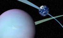 Why Tilt-a-Worlds Could Be Good Places for Life