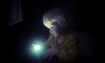 Believe Your Eyes: Young Children Can Be Better at Solving Problems Than Adults