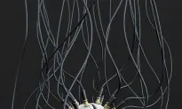 Weird Science: Into the Synapses of Mind Control