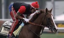 California Chrome Heavily Favored in Preakness