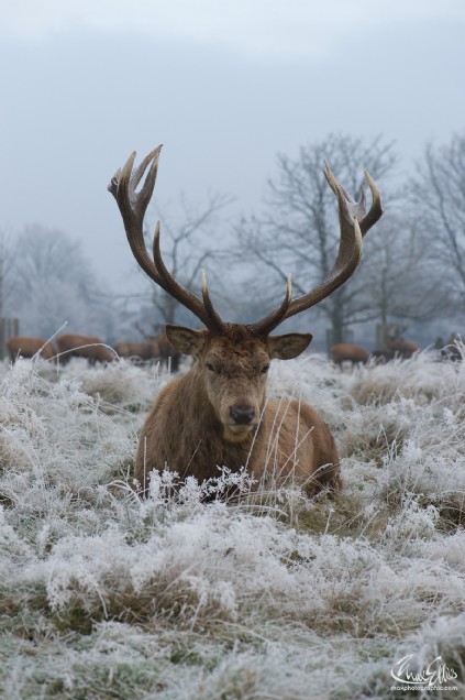Cold Start (Max Ellis)