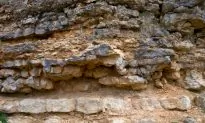 300-Million-Year-Old Man-Made Tools?