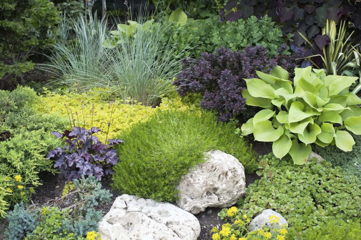  Native plants provide a natural environment. (NancyPaiva/iStock/Thinkstock)
