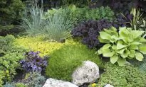 How to Create a Low Maintenance Garden