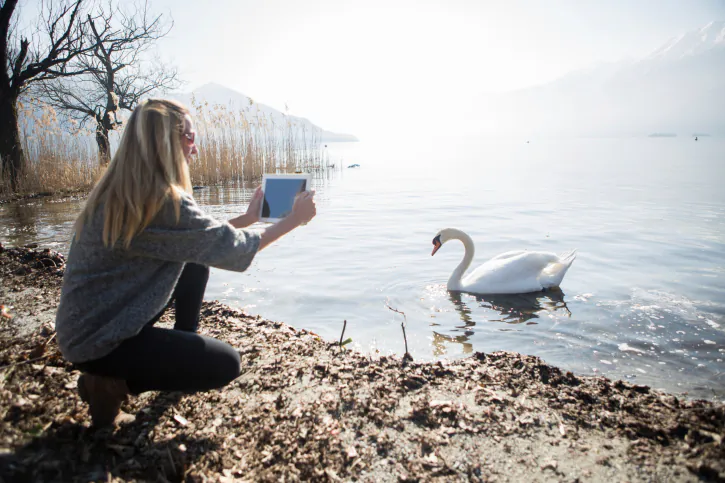 A file photo of a woman taking a photo of a swan on her tablet. An interactive, global, online map helps gather data about local ecosystems, which is useful not only for understanding the ecosystems but also for helping people tailor their gardens to the ecological needs of their region and share best practices.