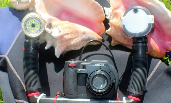 SeaLife camera with Sea Dragon flash and light on brackets. Some personalization is necessary to make the camera unit your own. The author rigged a neck strap and fishing weights to make the unit negatively buoyant underwater. (John Christopher Fine copyright 2014)