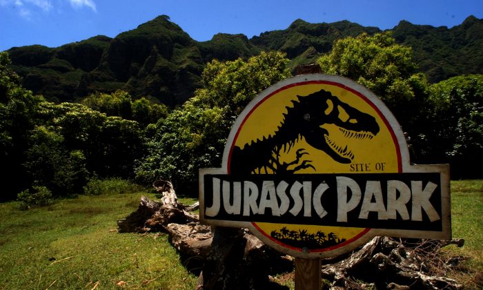 The site of famous dinosaur scenes at Kualoa Ranch in the valley of Kaaawa, Hawaii, May 11, 2005. (AP Photo/ Lucy Pemoni)